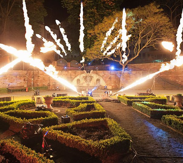 Fire and Flames Flamechaser